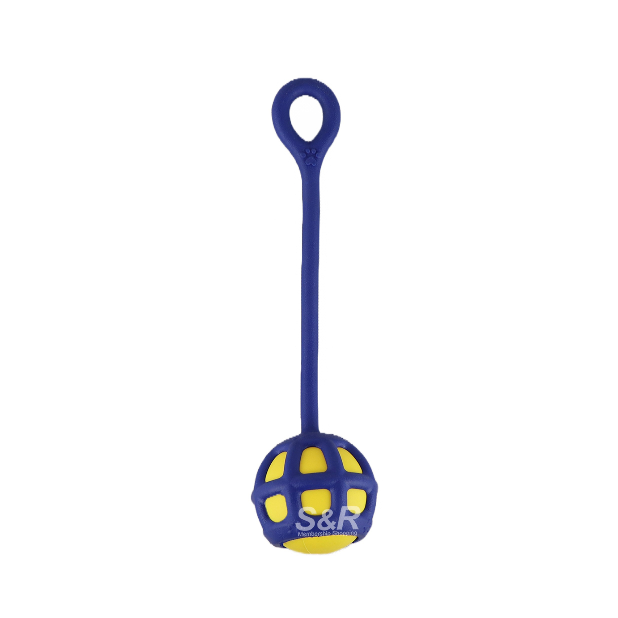 Goodyear Fetch Ball With Rope Dog Toy 1pc